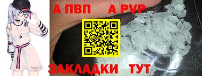 амф Бердск