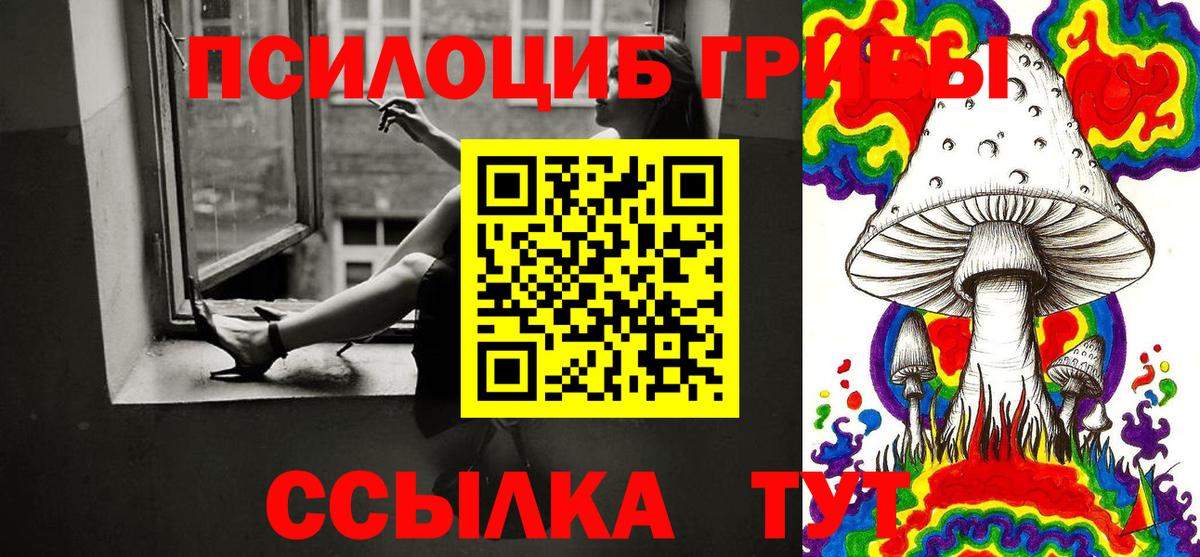 Углич  Галлюциногенные грибы MAGIC MUSHROOMS  Вход с VPN 